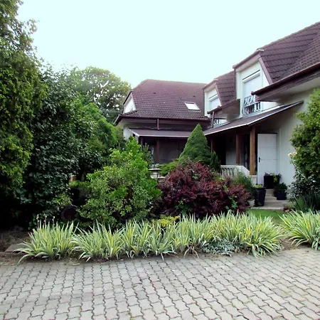 Leander Vendeghaz 3*