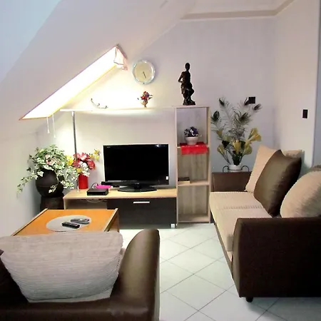 Leander Vendeghaz גיינסדיאס