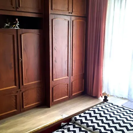 Leander Vendeghaz גיינסדיאס