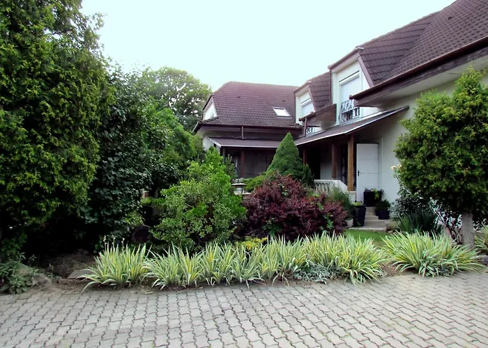 Leander Vendeghaz 3*