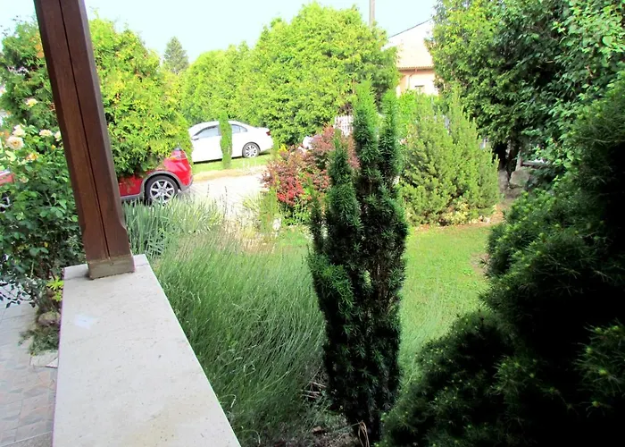 Leander Vendeghaz 3*