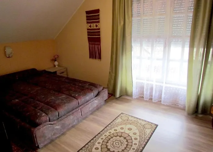 Leander Vendeghaz Penzion 3*